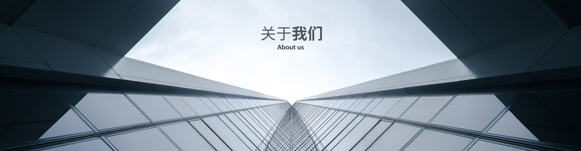 企业投票云服务-专为投票场景打造，支持职称评定投票、项目评优、奖励申报、评先进、股东大会、党代表选举、政协会议表决、人事任免、干部考核、优秀员工评选
